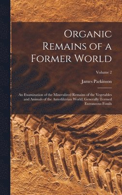 bokomslag Organic Remains of a Former World