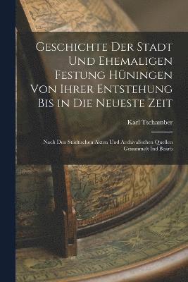 Geschichte Der Stadt Und Ehemaligen Festung Hningen Von Ihrer Entstehung Bis in Die Neueste Zeit 1