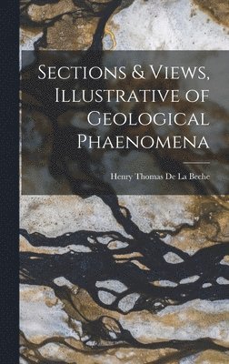 bokomslag Sections & Views, Illustrative of Geological Phaenomena