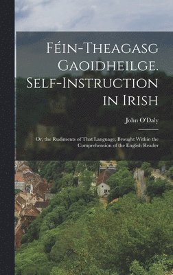 bokomslag Fin-Theagasg Gaoidheilge. Self-Instruction in Irish