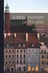 bokomslag A Brief History of Poland