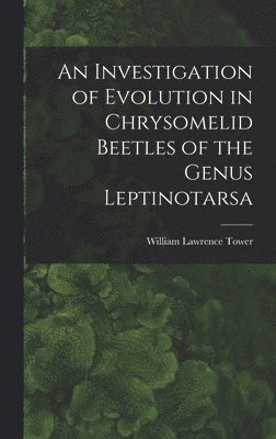 bokomslag An Investigation of Evolution in Chrysomelid Beetles of the Genus Leptinotarsa