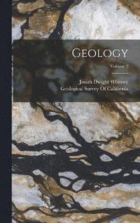 bokomslag Geology; Volume 2