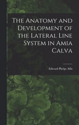 The Anatomy and Development of the Lateral Line System in Amia Calva 1