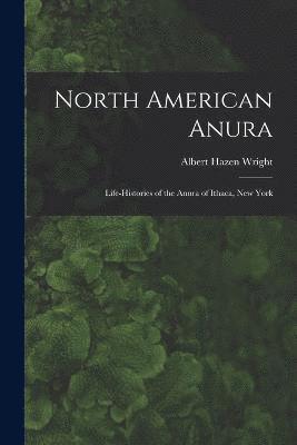 bokomslag North American Anura