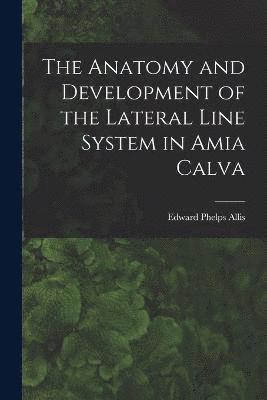 The Anatomy and Development of the Lateral Line System in Amia Calva 1