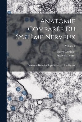 Anatomie Compare Du Systme Nerveux 1