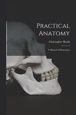 bokomslag Practical Anatomy