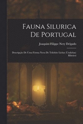 bokomslag Fauna Silurica De Portugal