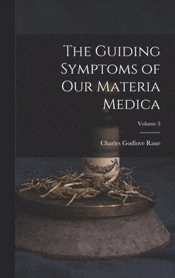 Charles Godlove Raue - Guiding Symptoms of Our Materia Medica; Volume 3, Inbunden