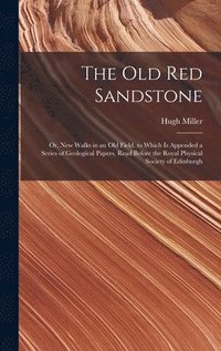 bokomslag The Old Red Sandstone