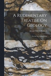 bokomslag A Rudimentary Treatise On Geology