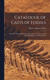 bokomslag Catalogue of Casts of Fossils