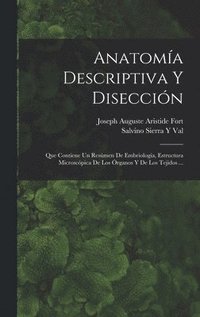 bokomslag Anatoma Descriptiva Y Diseccin