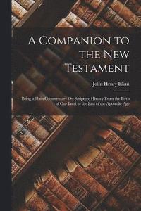 bokomslag A Companion to the New Testament