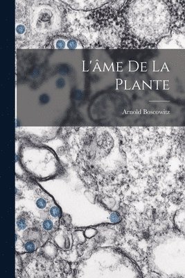 L'me De La Plante 1