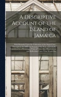 bokomslag A Descriptive Account of the Island of Jamaica