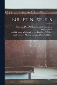 bokomslag Bulletin, Issue 19