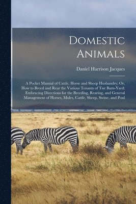 Domestic Animals 1