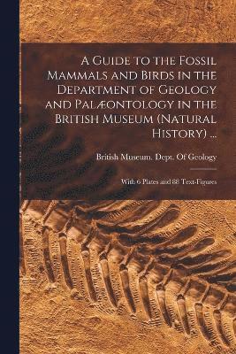 bokomslag A Guide to the Fossil Mammals and Birds in the Department of Geology and Palontology in the British Museum (Natural History) ...