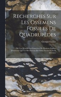 bokomslag Recherches Sur Les Ossemens Fossiles De Quadrupdes