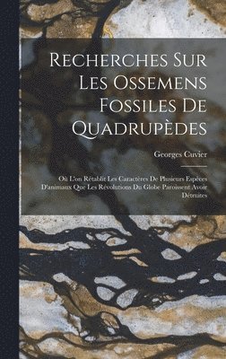 Recherches Sur Les Ossemens Fossiles De Quadrupdes 1