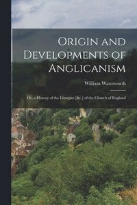 bokomslag Origin and Developments of Anglicanism