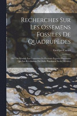 Recherches Sur Les Ossemens Fossiles De Quadrupdes 1