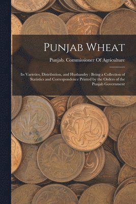 Punjab Wheat 1