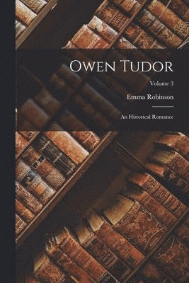 bokomslag Owen Tudor