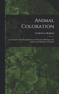 bokomslag Animal Coloration