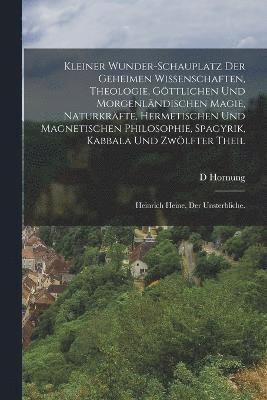 bokomslag Kleiner Wunder-Schauplatz der geheimen Wissenschaften, Theologie, gttlichen und morgenlndischen Magie, Naturkrfte, hermetischen und magnetischen Philosophie, Spagyrik, Kabbala und Zwlfter