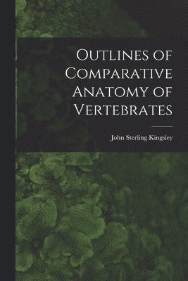 bokomslag Outlines of Comparative Anatomy of Vertebrates