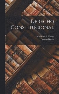 bokomslag Derecho Constitucional