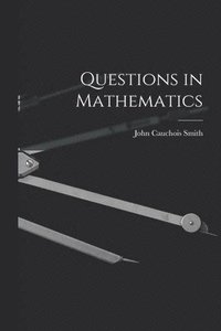 bokomslag Questions in Mathematics