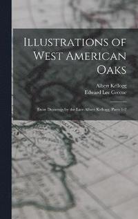 bokomslag Illustrations of West American Oaks