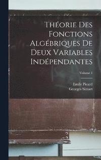 bokomslag Thorie Des Fonctions Algbriques De Deux Variables Indpendantes; Volume 1