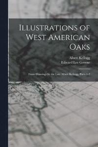 bokomslag Illustrations of West American Oaks
