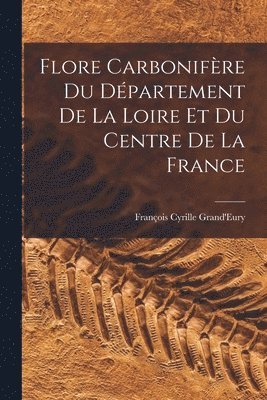 Flore Carbonifre Du Dpartement De La Loire Et Du Centre De La France 1