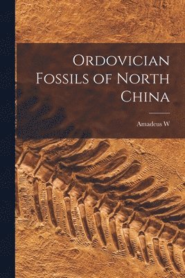 bokomslag Ordovician Fossils of North China