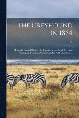 J H 1810-1888 Walsh, J. H. 1810-1888 Walsh, J H. 1810-1888 Walsh, J. H. Walsh - Greyhound in 1864, Häftad