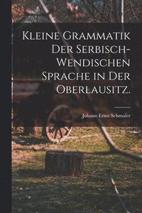 bokomslag Kleine Grammatik der serbisch-wendischen Sprache in der Oberlausitz.