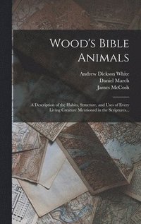 bokomslag Wood's Bible Animals