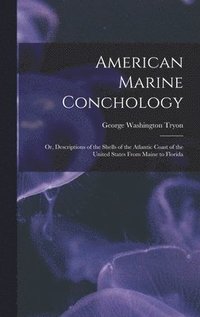 bokomslag American Marine Conchology