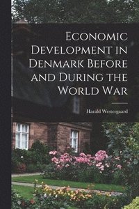 bokomslag Economic Development in Denmark Before and During the World War