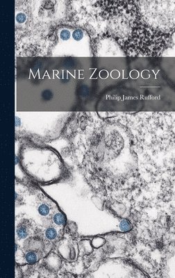 bokomslag Marine Zoology