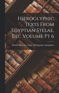bokomslag Hieroglyphic Texts From Egyptian Stelae, etc Volume pt 6
