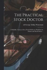 bokomslag The Practical Stock Doctor