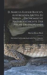 bokomslag D. Marcus Elieser Bloch's, ausbenden Arztes zu Berlin ... konomische Naturgeschichte der Fische Deutschlands