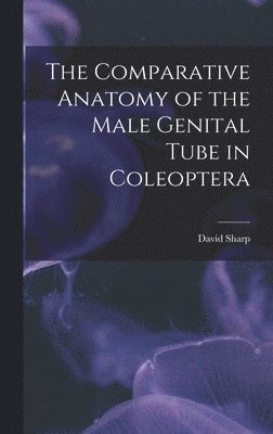 David Sharp - Comparative Anatomy of the Male Genital Tube in Coleoptera, Inbunden